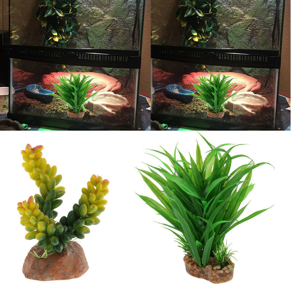 Set of 2, Plastic Terrarium Bamboo Leaf & Succulent Plant Animals Habitat for