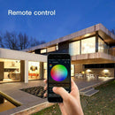 WiFi BR30 LED Flood Light Bulb, Tunable White & Color Changing Smart Flood