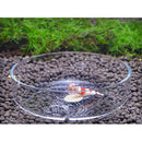 Acrylic Shrimp Feeding Food Dish for Aquarium Fish Tank L9H2