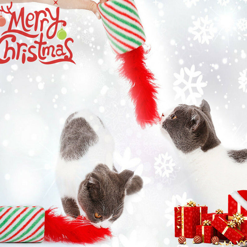 Cat Toys With Feather Mint Funny Cat Teaser Interactive Pet Scratcher