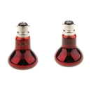 2Pcs B22 Reptile Heat Basking Lamp UVA Heater Glass Heat Emitter 220V 60W
