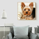 5D Full Round Drill Diamond Painting Dog diy Embroidery Animal Decor (281)