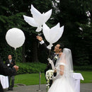 1PCS Flying Pigeon Bird Animal Helium Balloons 41inch Peace Dove Wedding Xmas gg