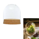 Dia.8x8cm Glass Dome Cover Cloche Jar Succulent Terrariums with Wood Cork