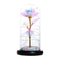 Beautiful Eternal Rose LED Light Rose In Glass Dome with Foam for Valentine'P6E2