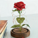 Eternal Rose Flower Red Silk Rose and LED Light with Fallen Petals in Glass E8Y6