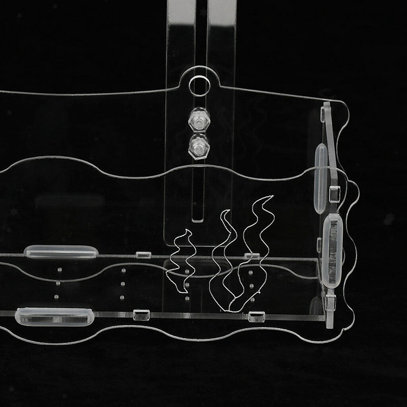 Red Shrimp Aquarium Fish Tank Aquatic Crystal Acrylic Pot Plant Cup Holder