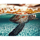 Painting By Numbers Kit DIY Sea Turtle Hand Painted Canvas Oil Art Picture