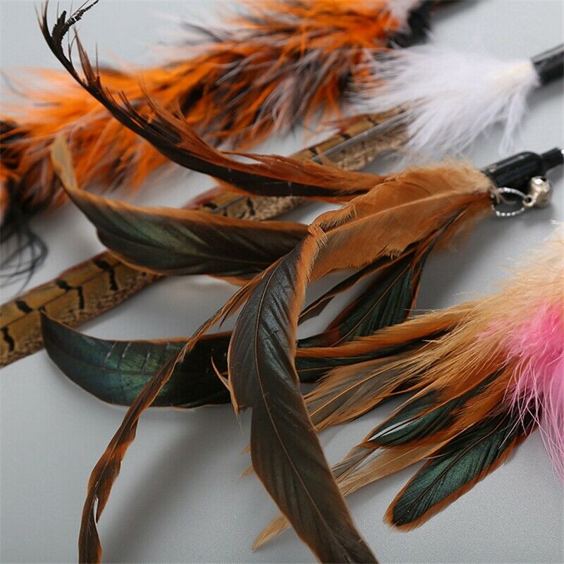 Katten Speelgoed Funny Set Fishing Rod Retractable Feathers Make 5 Replaced J4N3