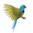 Handmade Craft Yellow Parrot Artificial Birds Feather Decor Wire Christmas