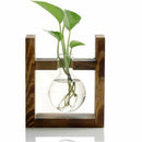 Glass containers, plant glass containers, modern decorative glass pots, hyd