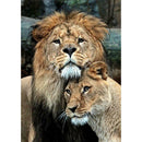 5D DIY Full Drill Diamond Painting Animal Tiger Cross Stitch Kits (K510)