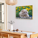DIY Animal 5D Full Square Drill Diamond Painting Cross Stitch Gift (NF0157)