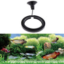4 x Duable & Environmentally-Friendly Fish Feeding Square - Plastic Aquarium