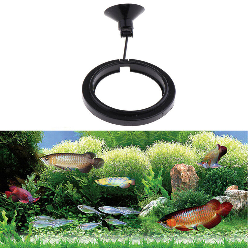 4 x Duable & Environmentally-Friendly Fish Feeding Square - Plastic Aquarium