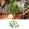 Plastic Terrarium Sweet Potato Leaves Plants Vine Ornament Landscape for