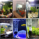 Aquarium Fish Tank Pretty Mute Small Pneumatic Purification Tool J9A4