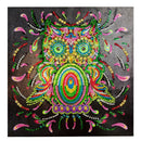 5D Owl Diamond Painting Special Shaped with Basic Tools DIY Rhinestone Arts
