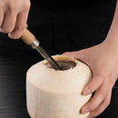 Smooth Stainless Steel Coconut Planer Handheld Kitchen Tools Shredded Fish Scale