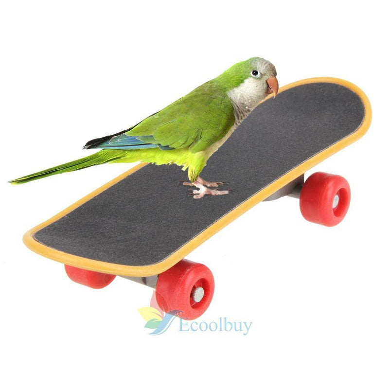 New Bird Mini Training Skateboard Plastic Scrub Scooter Skate Boarding A