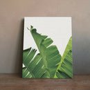 Tropical Palm Leaf Print Banana Leafs Wall Art Painting Picture on Canvas S
