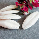 1 Bag Cuttlefish Cuttle Fish Bone Parrotts Birds Reptiles Tortoise Fun Food B0R8