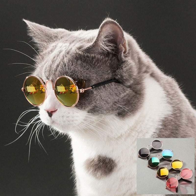 Pet Cat Puppy Small Dogs Glasses Sunglasses Eye Wear Protection Photo Prop Decor