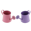 2pcs Pastoral Style Watering Can Flower Barrel Gardening Irrigation Tool