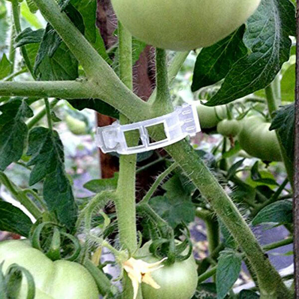 150 Pcs Plant Support Garden Clips,Tomato Vine Clips,Tomato Trellis Clips f