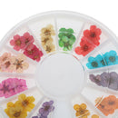 12 Colors Real Dry Nail Flower Art Decoration Manicure Nails DIY Stickers