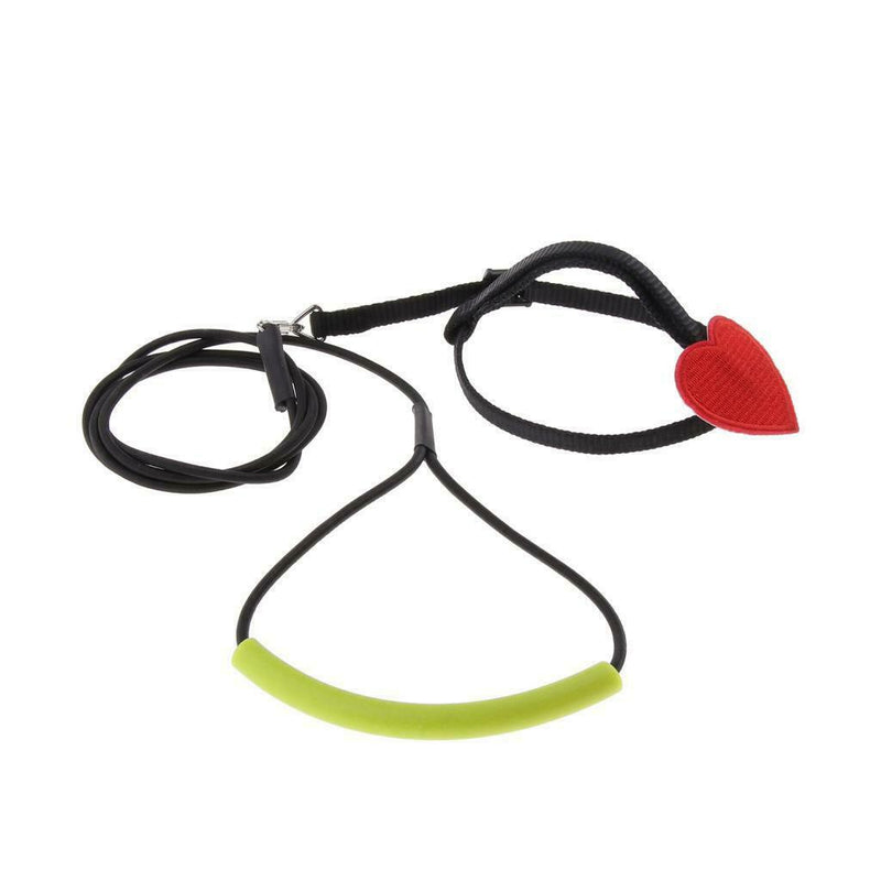 2 x Birds Rope Parrots Training Harness Leash For Medium Large Birds