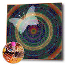 Diamond Painting Kits Butterfly Pattern Full Round Drill Picture Home Craft
