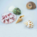 Aquarium Beach Nautical DIY Shells Mixed Bulk Approx Shell 100g Sea Fashion T2R0