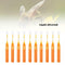 10Pcs Bee Swarm Attractant Lures Bait Trap Beekeeping Hive Honey Fruits Tools