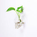 Skeleton Head Hanging Glass Hydroponic Flower Planter Vase Home Garden Decor
