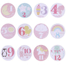 Baby Monthly Photograph Stickers Month 1-12 Milestone Stickers(Pink)