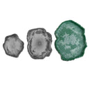 14x12x1.5cm Water Tray Food Container Dish Bowl Feeder for Reptile Turtle