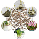 400X Charm Daffodil Seeds Spring Flower Double Narcissus Duo Bulbs Seeds P6V2