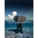 5D DIY Full Drill Diamond Painting Elephant Cross Stitch Embroidery Mosaic