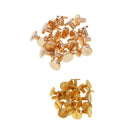 60x Brass Chicago Screws Belt Nail Studs Rivet Binding Book Photo Album 8mm