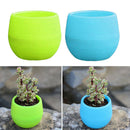 2x Succulent Pot Vase Herb Storage Box Cacti Plant Box Plant Container