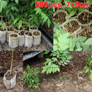 Biodegradable Non-woven Nursery Bags Plant Grow Bags Eco Friendly Planting S Ew