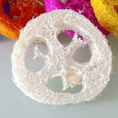 Quality Loofah, Luffa, Loofa, Facial, Skin Care, Exfoliator, Sponge N0T2