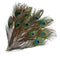 DIY 10 Peacock Eye Tail Feather For Masquerade Decoration Party  New