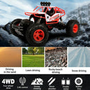 1: 16 RC Car 2.4G 4CH 4WD Rock Crawler 4x4 Driving Car Double Motors Drive