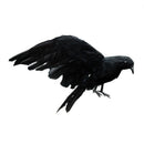 Halloween prop feathers Crow bird large 25x40cm spreading wings Black Crow  G9L9