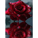 5D Full Drill DIY Diamond Painting Flower Cross Stitch Embroidery (T183)