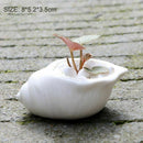 6pcs/set Mini White Small Flowerpot shell Shape Ceramic Succulent Plant Pot