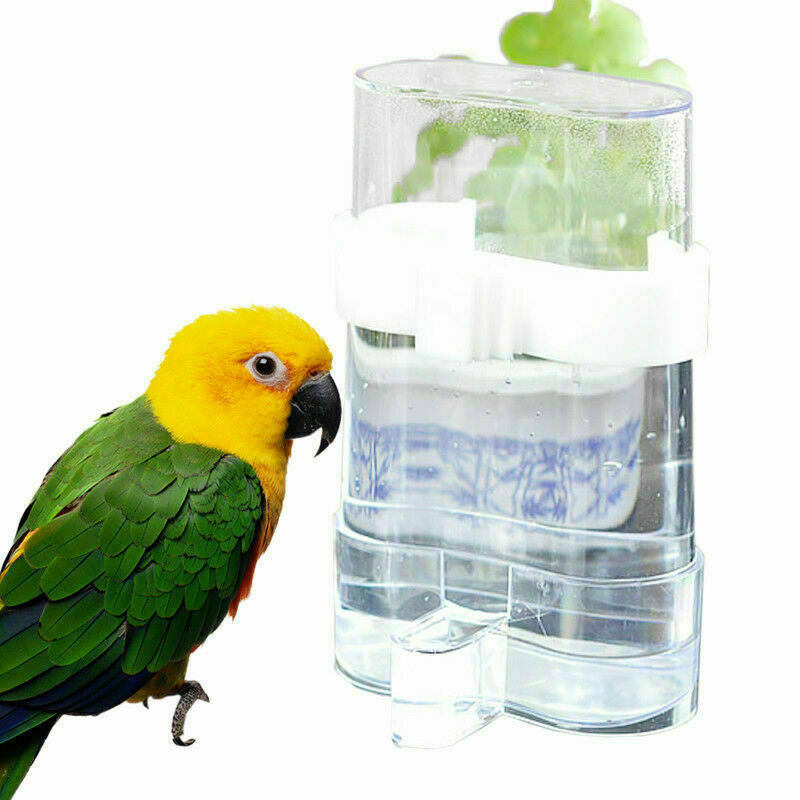 Water Feeder Cockatiel Food D.AU 200m Pet Bird Parrot Acrylic Automatic AU O9E6