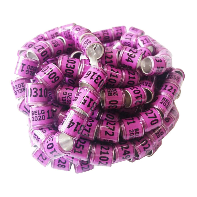 Set of 100 Racing Pigeon Leg Ring 8mm Leg Band Multi-color Purple Belgium